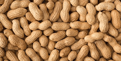 peanuts